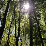Lägenhet Hubertus Am Nationalpark Sassnitz