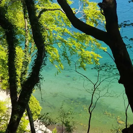 아파트 Hubertus Am Nationalpark