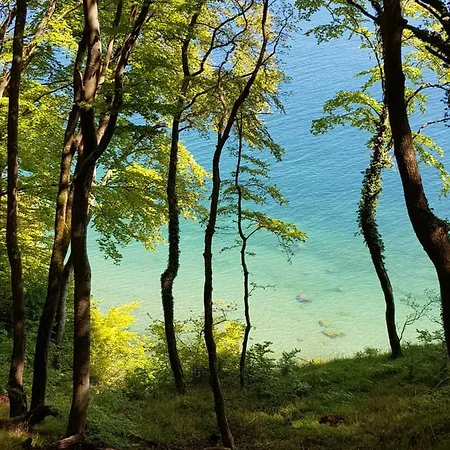 Lejlighed Hubertus Am Nationalpark