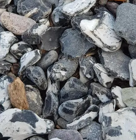 Lejlighed Hubertus Am Nationalpark *