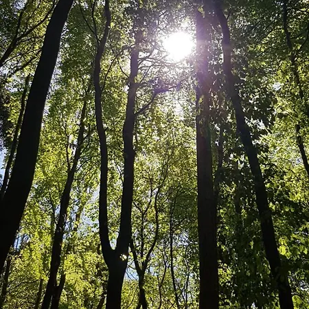 דירה Hubertus Am Nationalpark זאסניץ