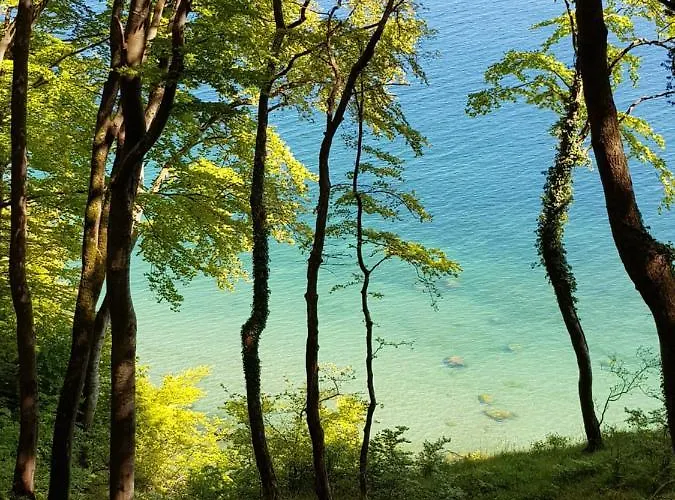 Apartament Hubertus Am Nationalpark