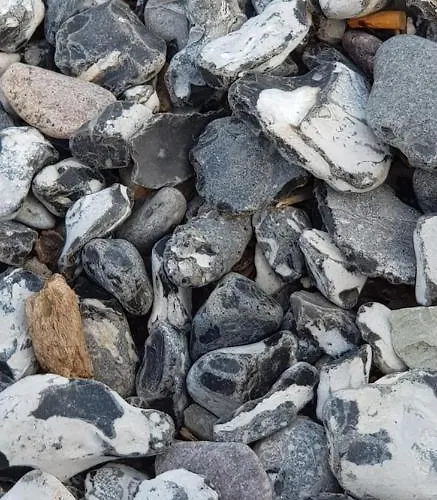 Apartament Hubertus Am Nationalpark *