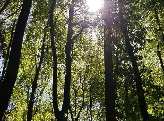 アパート Hubertus Am Nationalpark ザスニッツ